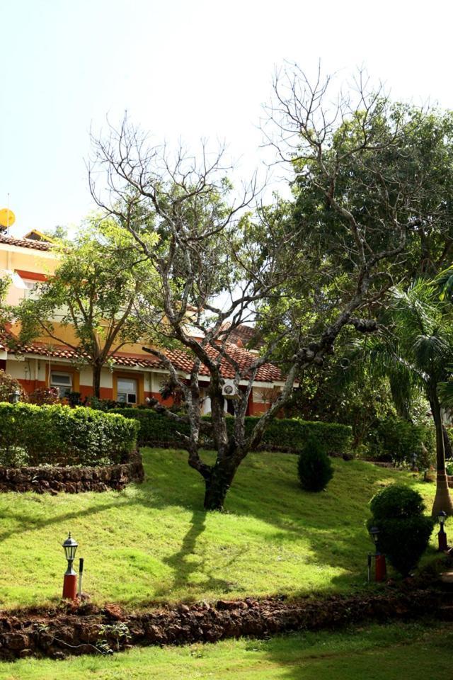 Nirvana Hermitage Анджуна Екстериор снимка